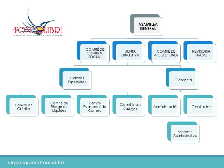 Organigrama Foncolibrí